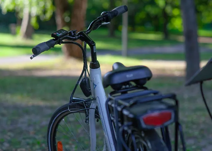 Thermal Kamp alanı *